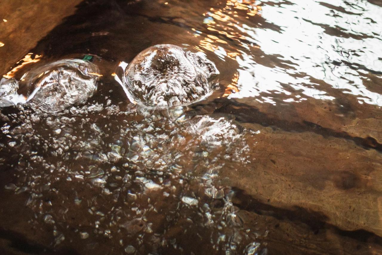 Tsuta Onsen Ryokan Товада Екстер'єр фото